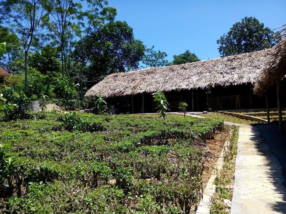 Family Homestay Ba Vi Bilik gambar