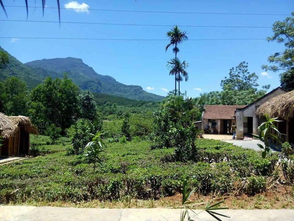 Family Homestay Ba Vi Luaran gambar