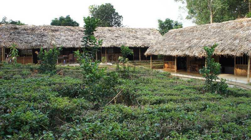 Family Homestay Ba Vi Bilik gambar