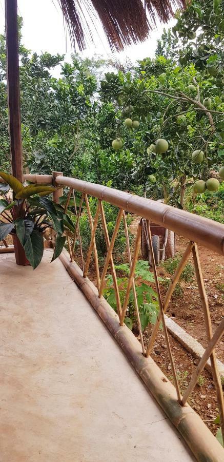 Family Homestay Ba Vi Luaran gambar