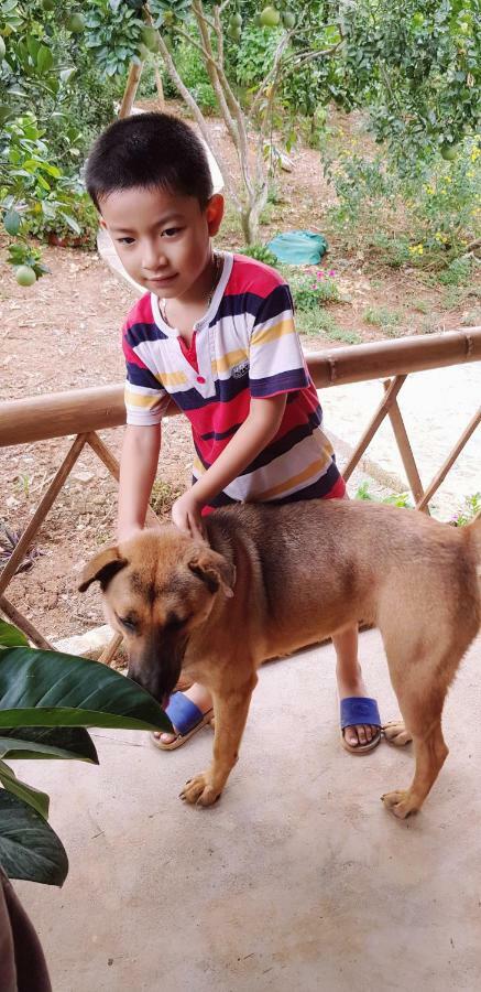 Family Homestay Ba Vi Luaran gambar